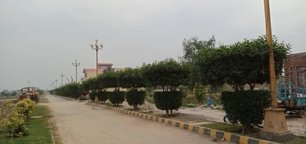 Community Street View
